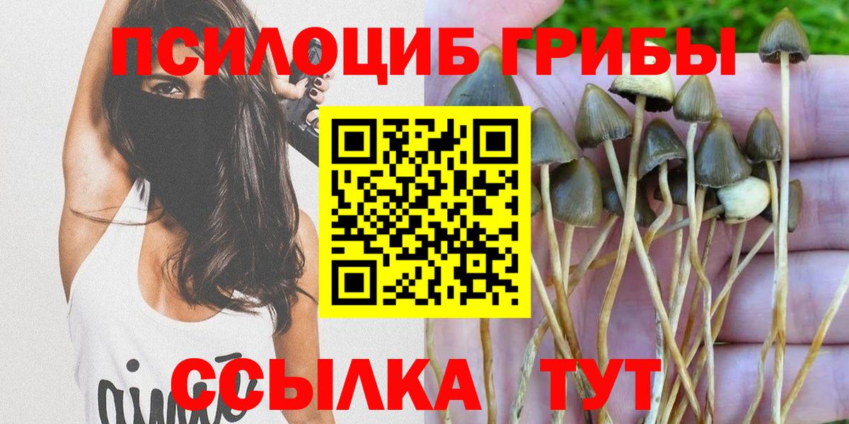 Галлюциногенные грибы мицелий Сорочинск