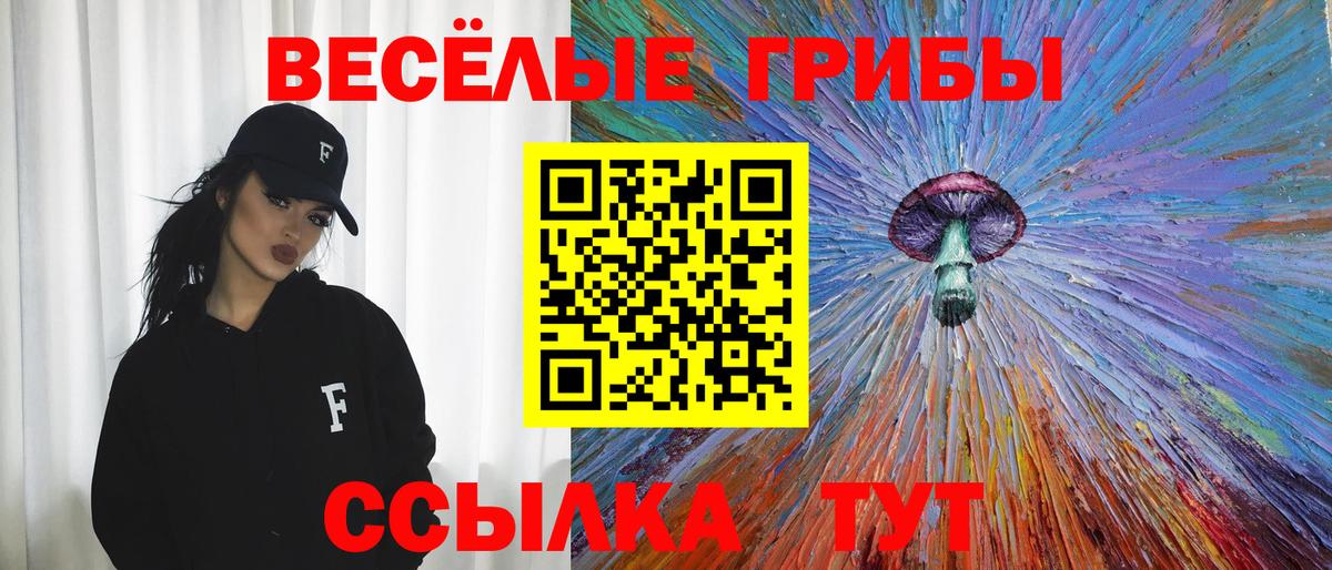 Сорочинск  Галлюциногенные грибы мицелий  Вход с VPN 